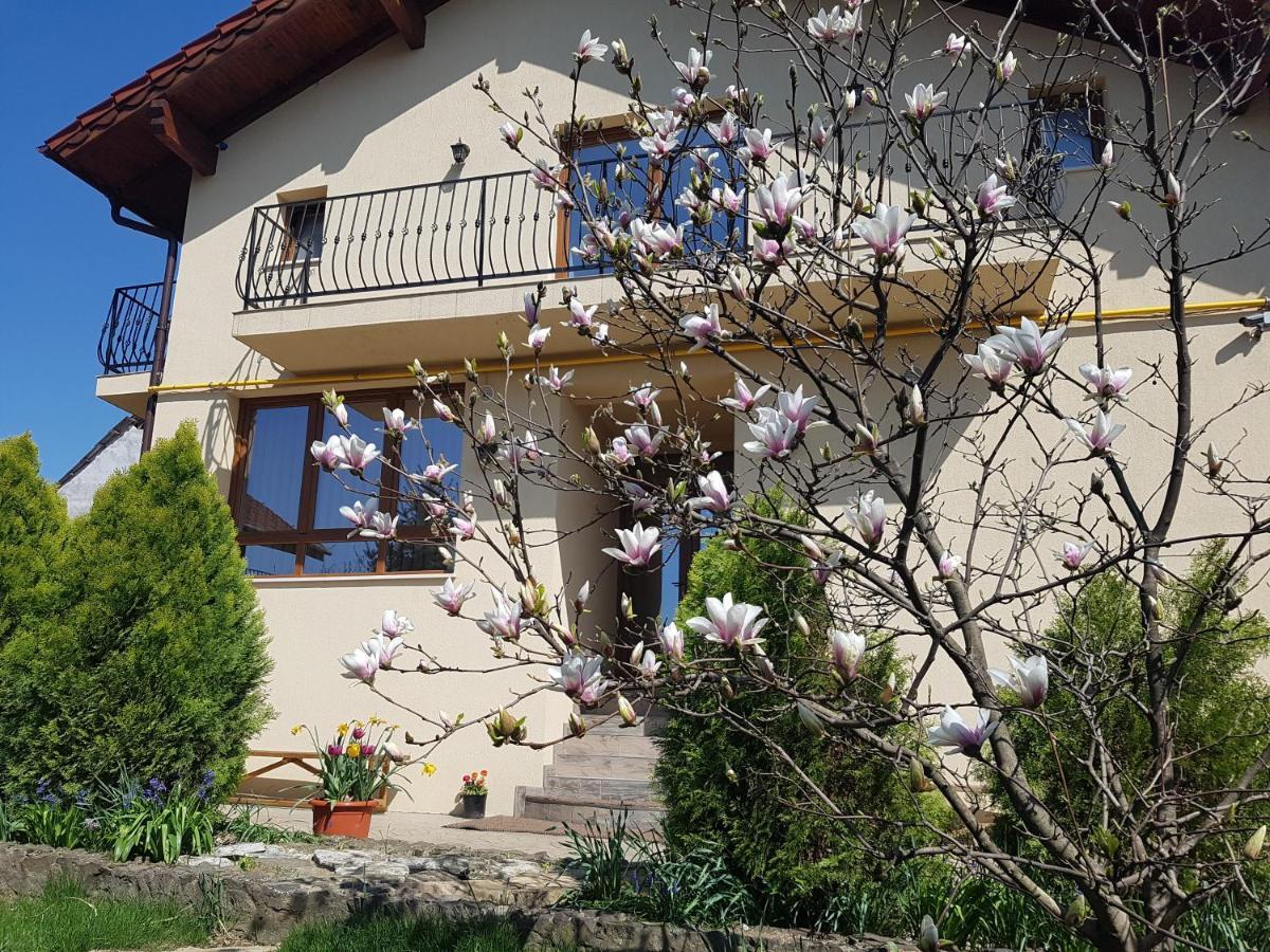 サトゥ・マーレ Casa Irinella Bed & Breakfast エクステリア 写真