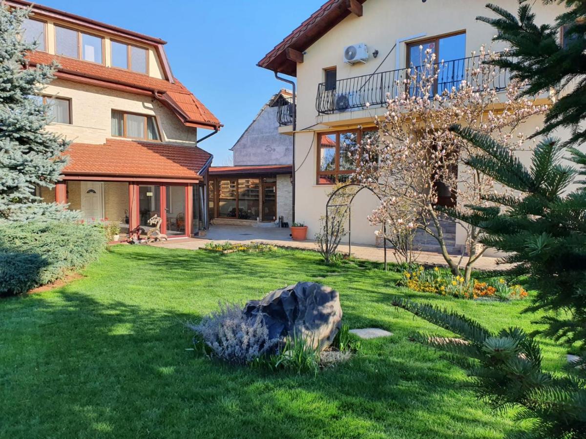 サトゥ・マーレ Casa Irinella Bed & Breakfast エクステリア 写真